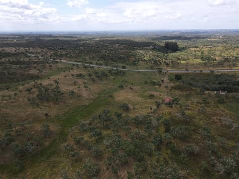 Terreno Rústico  Venda em Grândola e Santa Margarida da Serra,Grândola