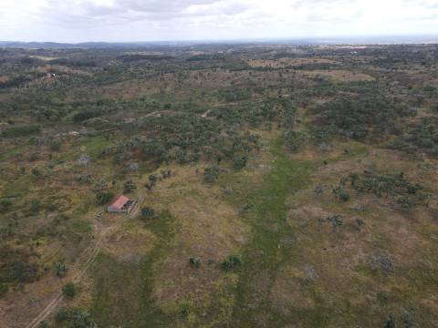 Terreno Rústico  Venda em Grândola e Santa Margarida da Serra,Grândola