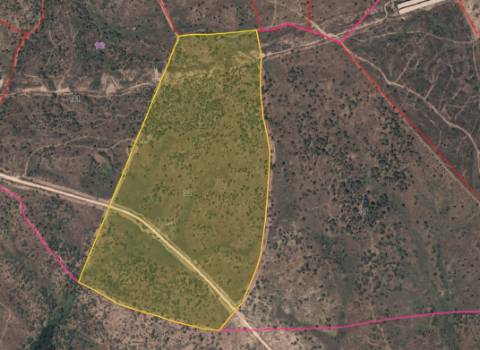 Terreno Rústico  Venda em Grândola e Santa Margarida da Serra,Grândola