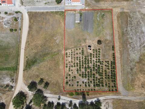 Terreno misto no Alentejo