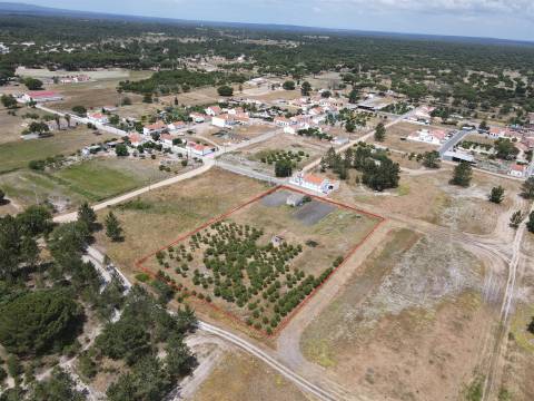 Terreno misto no Alentejo