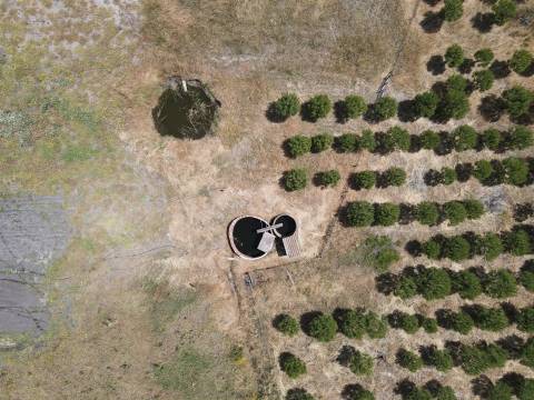 Terreno misto no Alentejo