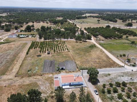 Terreno misto no Alentejo