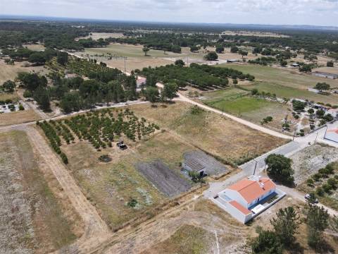 Terreno misto no Alentejo