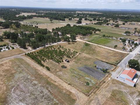 Terreno misto no Alentejo