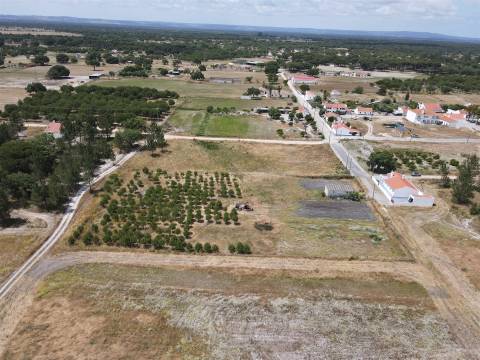 Terreno misto no Alentejo