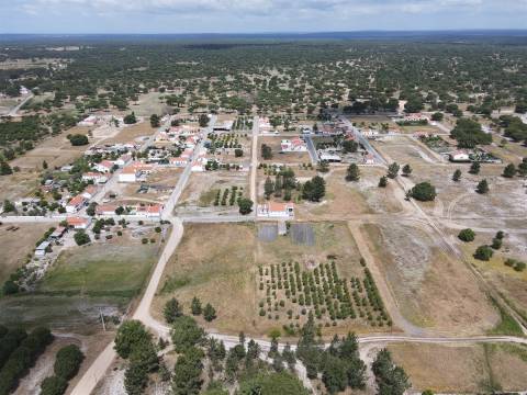 Terreno misto no Alentejo