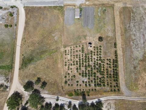 Terreno misto no Alentejo