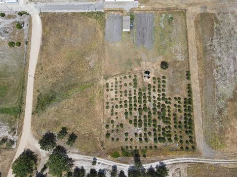 Terreno misto no Alentejo