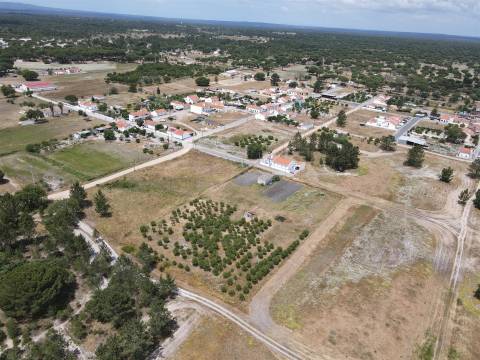 Terreno misto no Alentejo
