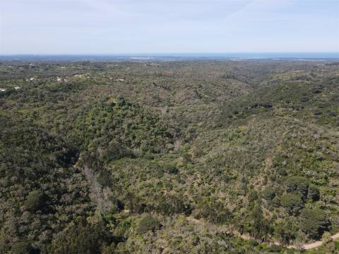 Terreno Rústico  Venda em São Francisco da Serra,Santiago do Cacém