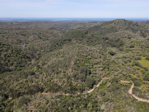 Terreno Rústico  Venda em São Francisco da Serra,Santiago do Cacém