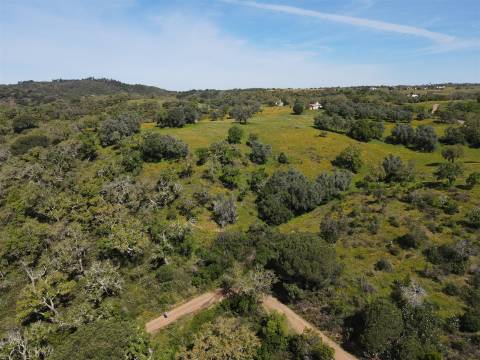Terreno Rústico  Venda em São Francisco da Serra,Santiago do Cacém