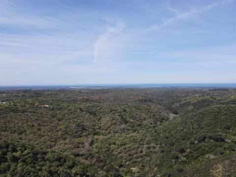 Terreno Rústico  Venda em São Francisco da Serra,Santiago do Cacém