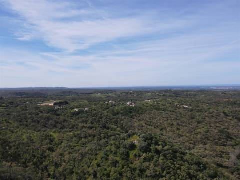 Terreno Rústico  Venda em São Francisco da Serra,Santiago do Cacém