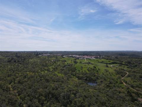 Terreno Rústico  Venda em São Francisco da Serra,Santiago do Cacém