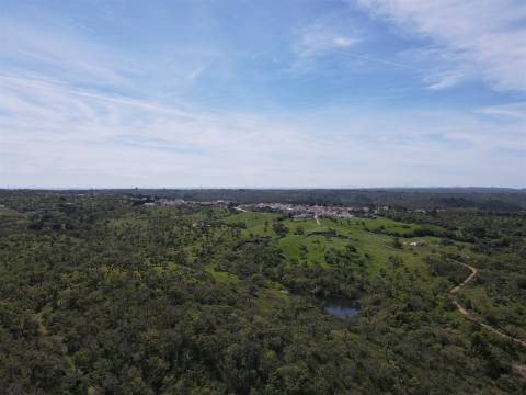 Terreno Rústico  Venda em São Francisco da Serra,Santiago do Cacém