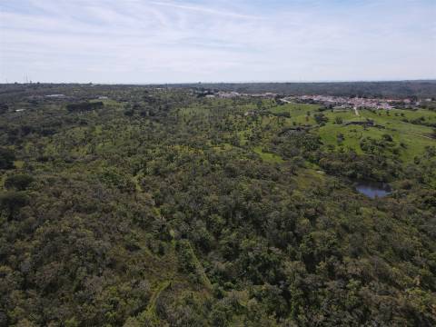 Terreno Rústico  Venda em São Francisco da Serra,Santiago do Cacém