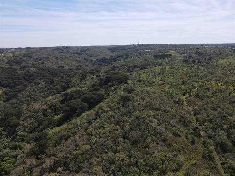 Terreno Rústico  Venda em São Francisco da Serra,Santiago do Cacém