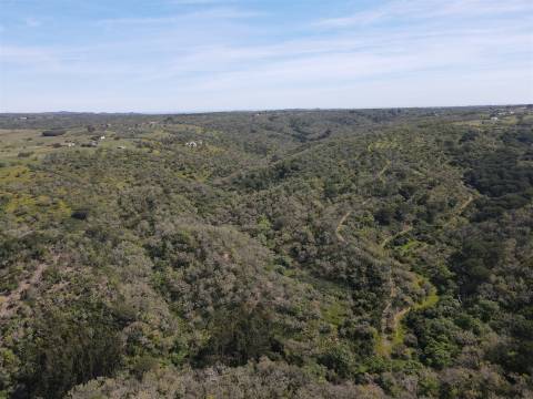 Terreno Rústico  Venda em São Francisco da Serra,Santiago do Cacém