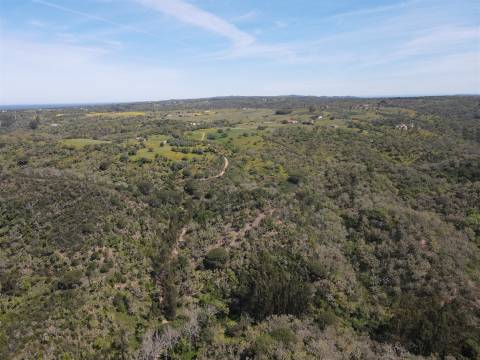 Terreno Rústico  Venda em São Francisco da Serra,Santiago do Cacém