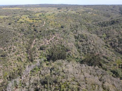 Terreno Rústico  Venda em São Francisco da Serra,Santiago do Cacém