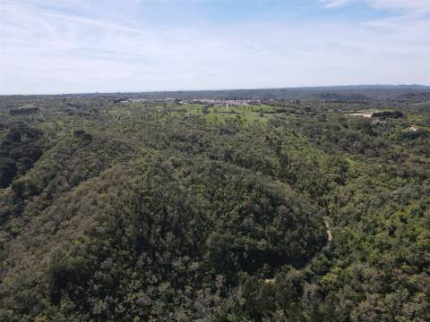 Terreno Rústico  Venda em São Francisco da Serra,Santiago do Cacém