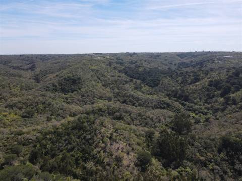 Terreno Rústico  Venda em São Francisco da Serra,Santiago do Cacém
