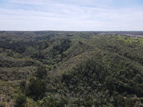 Terreno Rústico  Venda em São Francisco da Serra,Santiago do Cacém