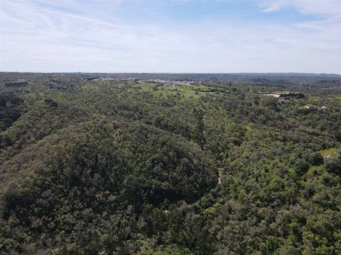 Terreno Rústico  Venda em São Francisco da Serra,Santiago do Cacém