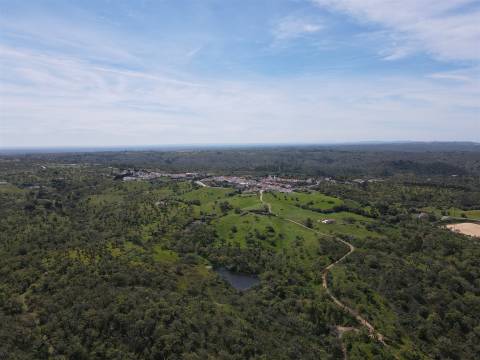 Terreno Rústico  Venda em São Francisco da Serra,Santiago do Cacém