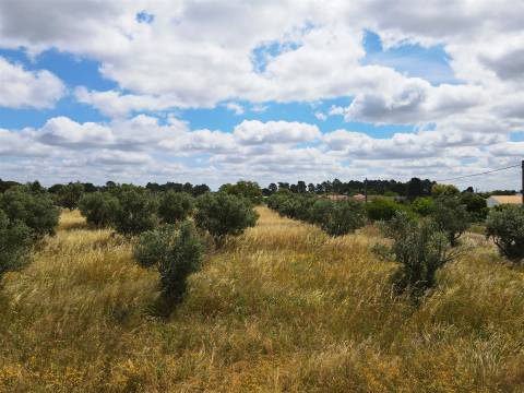 Quintinha T2 Venda em Grândola e Santa Margarida da Serra,Grândola