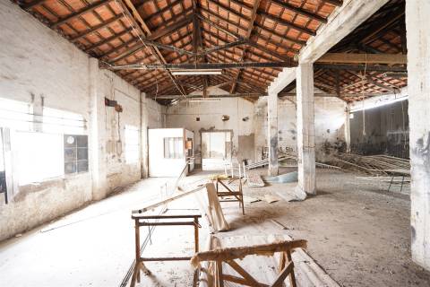 Terreno com armazém no Alentejo