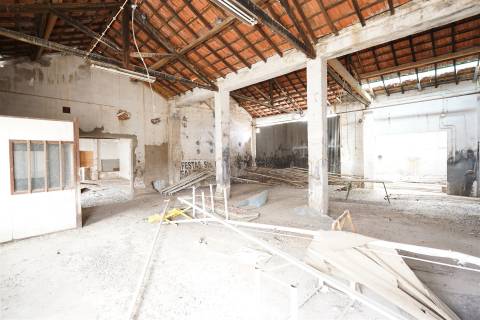 Terreno com armazém no Alentejo