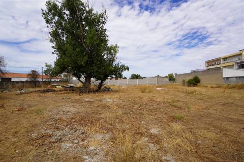 Terreno com armazém no Alentejo