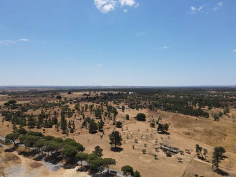 Moradia T2 no Alentejo