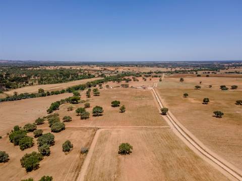 Moradia T2 no Alentejo