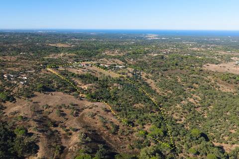 Quinta de 8 hectares em Melides