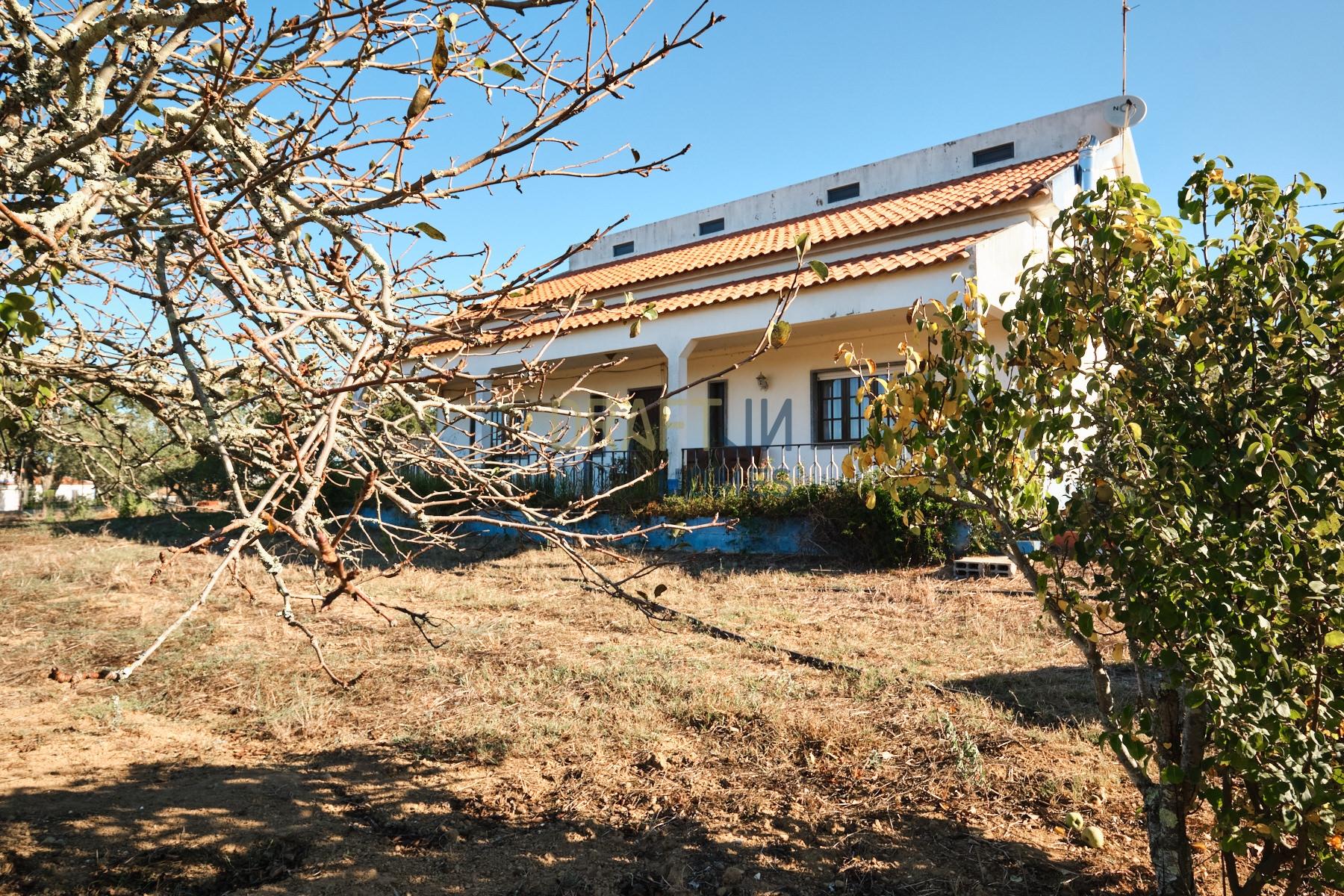 Quinta de 8 hectares em Melides