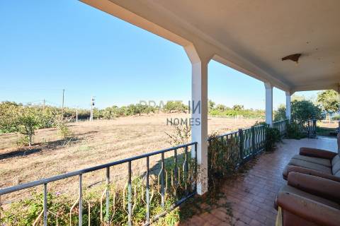 Quinta de 8 hectares em Melides