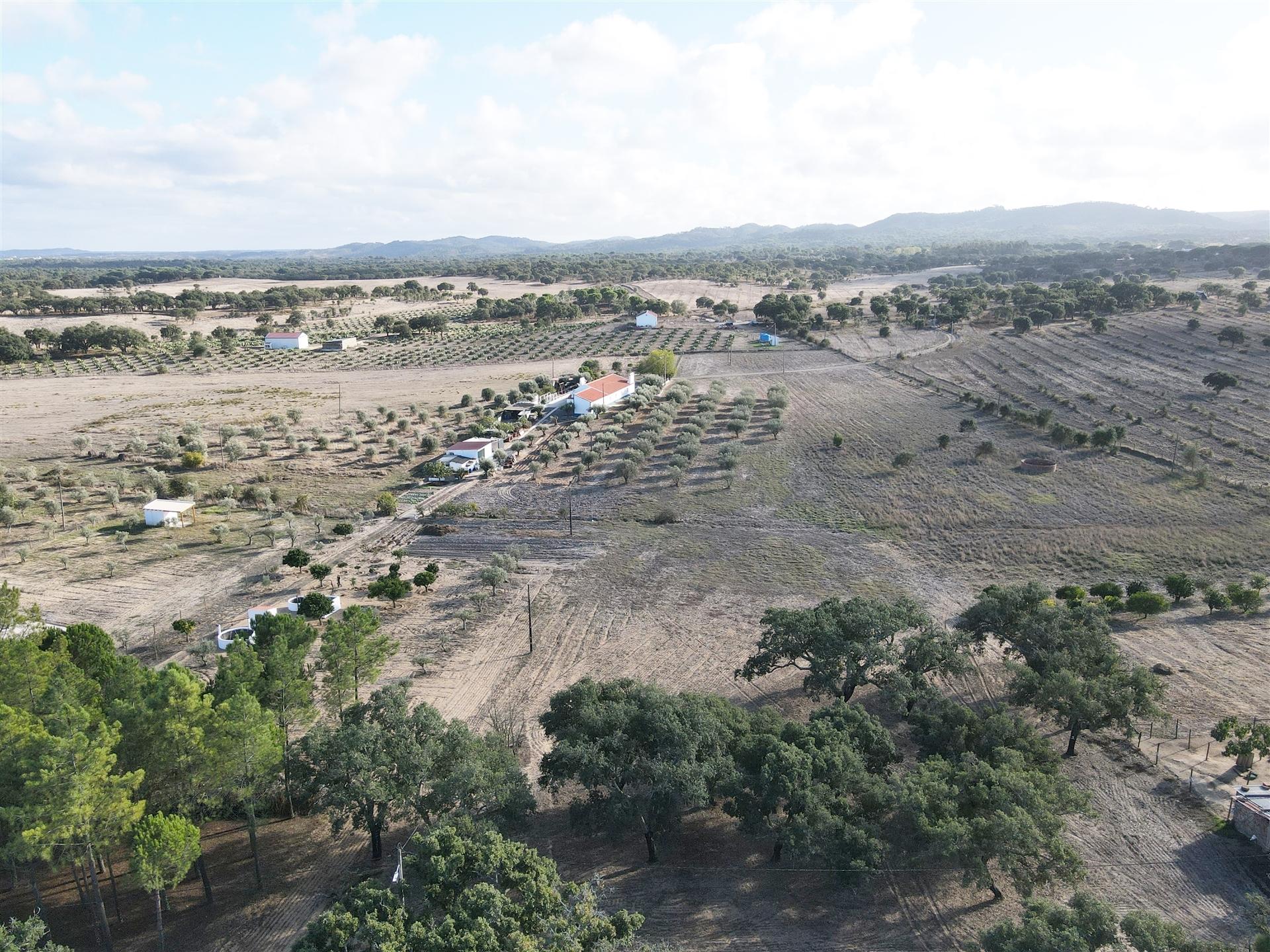 Terreno agrícola em Grândola