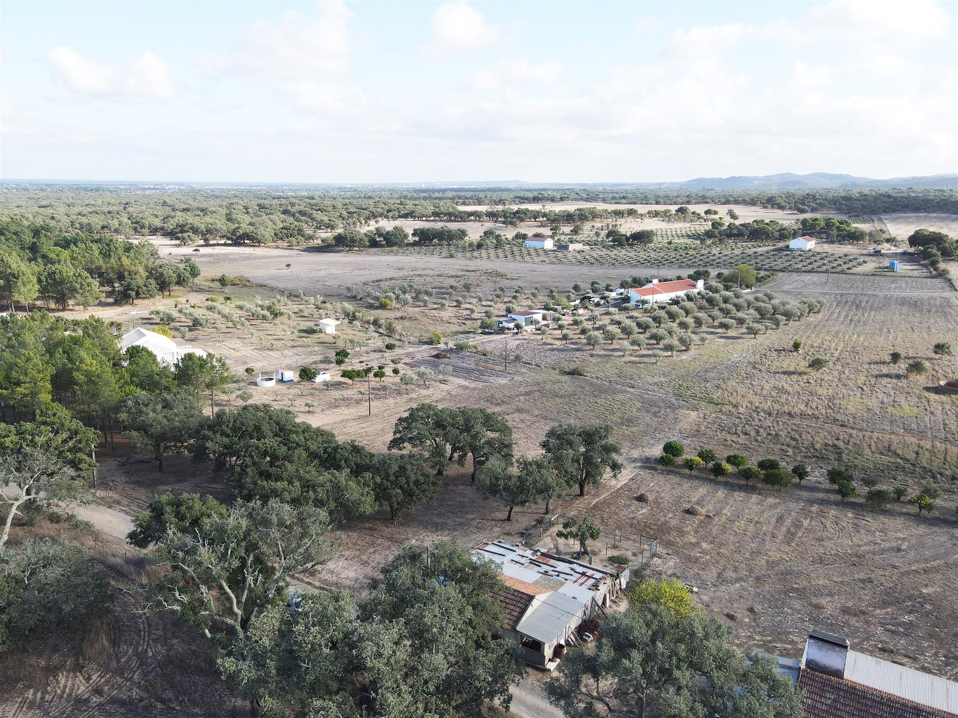Terreno agrícola em Grândola