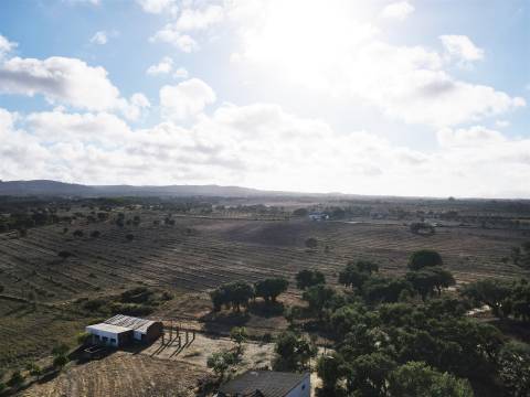 Terreno agrícola em Grândola
