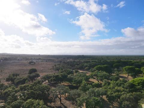 Terreno agrícola em Grândola