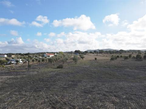 Terreno agrícola em Grândola