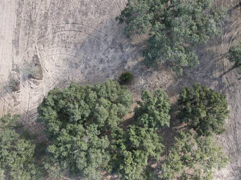 Terreno agrícola em Grândola