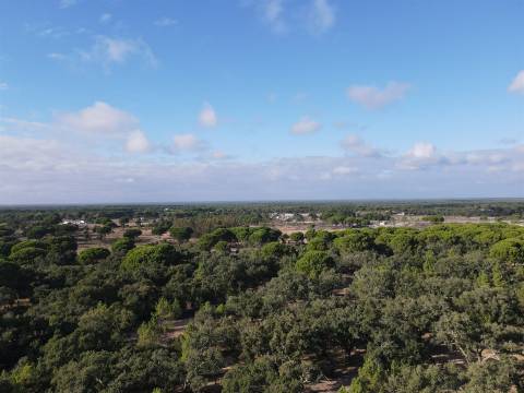 Terreno agrícola em Grândola