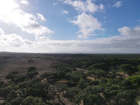 Terreno agrícola em Grândola