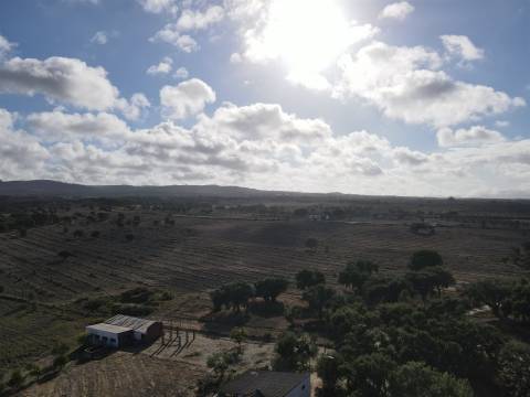 Terreno agrícola em Grândola