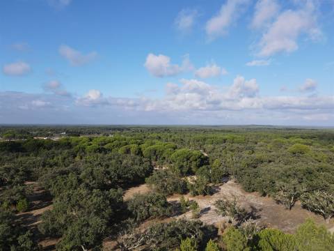 Terreno agrícola em Grândola